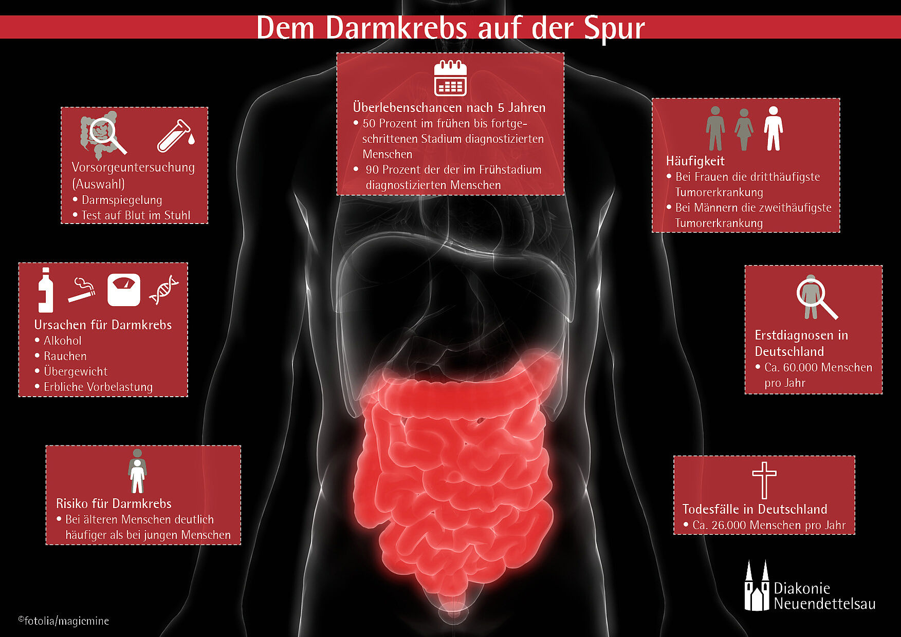 Infografik Darmkrebs
